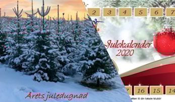JULEDUGNAD